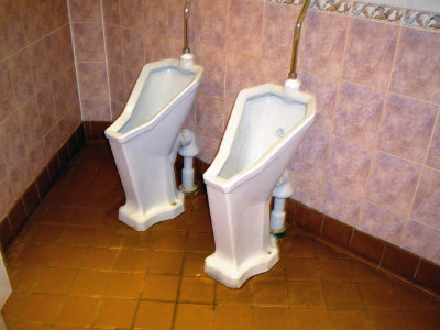 Have you ever seen urinals like these_edited