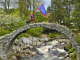 ITN and the flag trespassing at Carrbridge_edited