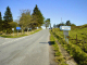 Schiehallion Road_edited