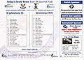 Download - Team Lines